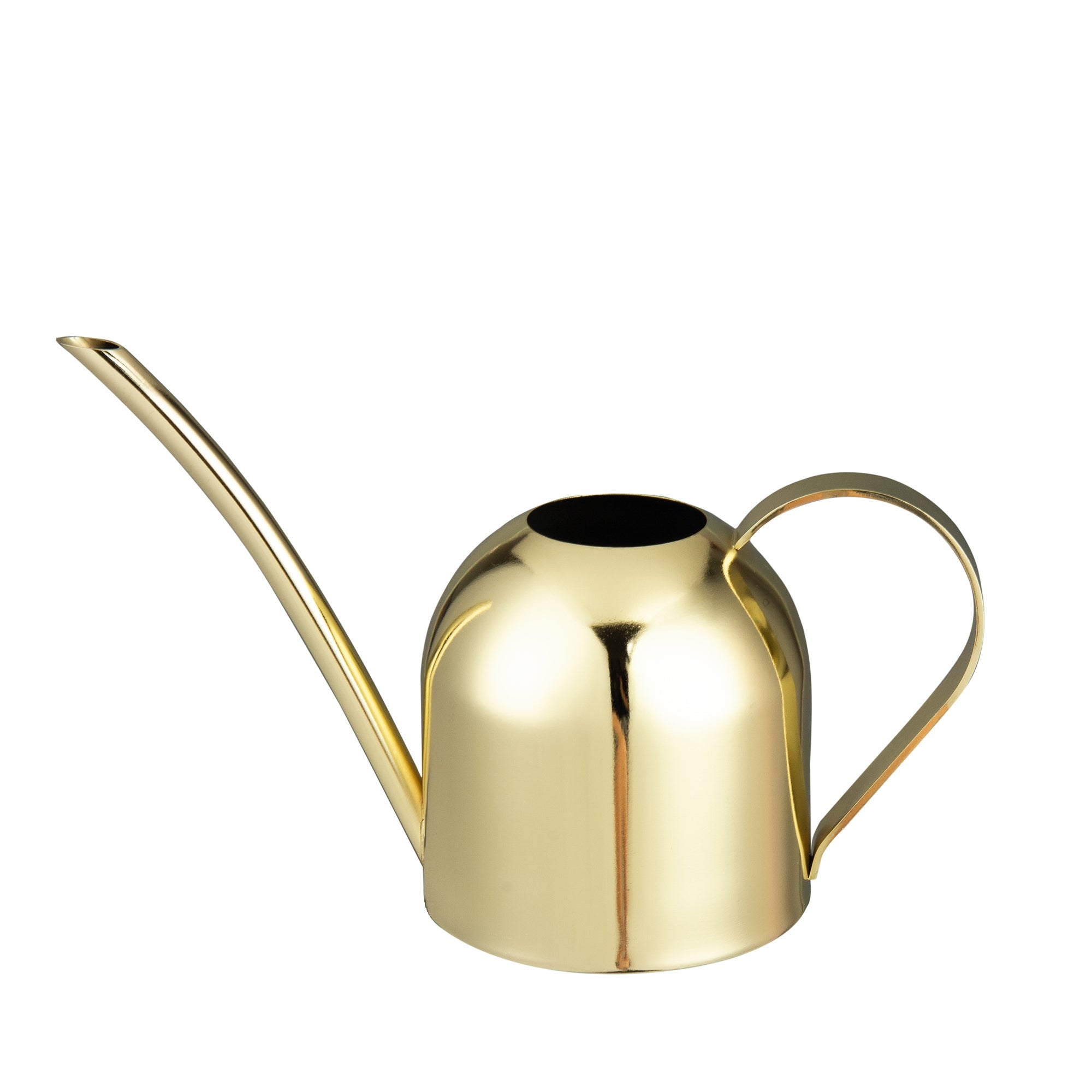 Watering Can House Watering Can for Indoor Plants Orchid Bonsai Desk Office Stainless Steel Watering Can with Long Spout, 15Oz/450Ml