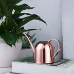 Watering Can House Watering Can for Indoor Plants Orchid Bonsai Desk Office Stainless Steel Watering Can with Long Spout, 15Oz/450Ml