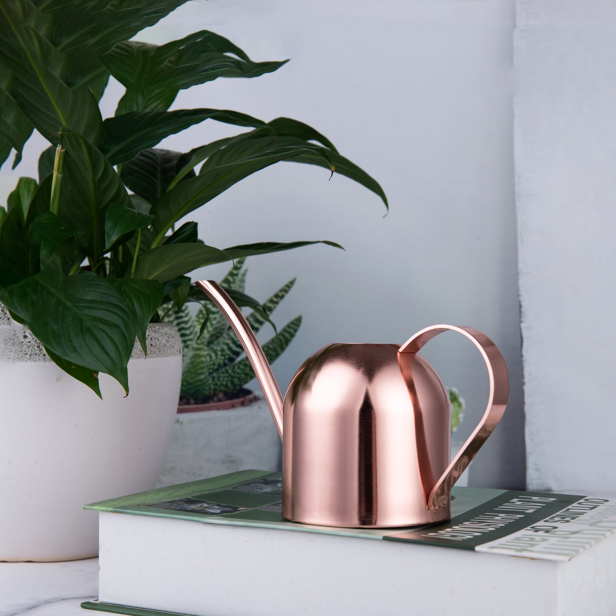 Watering Can House Watering Can for Indoor Plants Orchid Bonsai Desk Office Stainless Steel Watering Can with Long Spout, 15Oz/450Ml