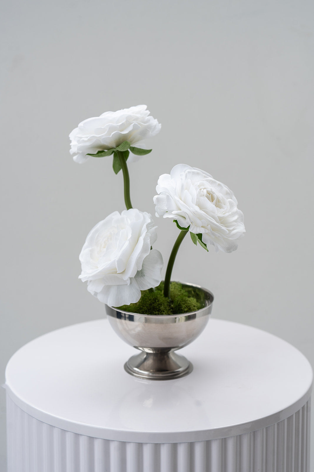 White Ranunculus (Real Touch)