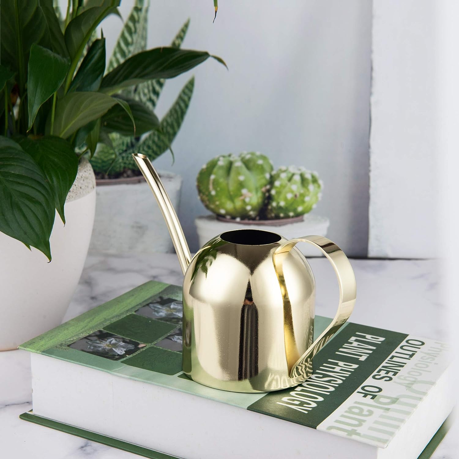 Watering Can House Watering Can for Indoor Plants Orchid Bonsai Desk Office Stainless Steel Watering Can with Long Spout, 15Oz/450Ml