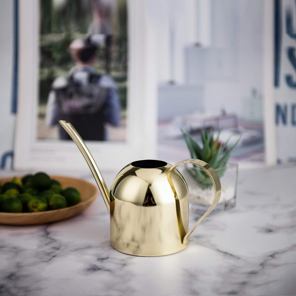 Watering Can House Watering Can for Indoor Plants Orchid Bonsai Desk Office Stainless Steel Watering Can with Long Spout, 15Oz/450Ml