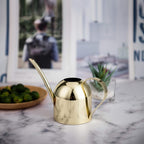 Watering Can House Watering Can for Indoor Plants Orchid Bonsai Desk Office Stainless Steel Watering Can with Long Spout, 15Oz/450Ml
