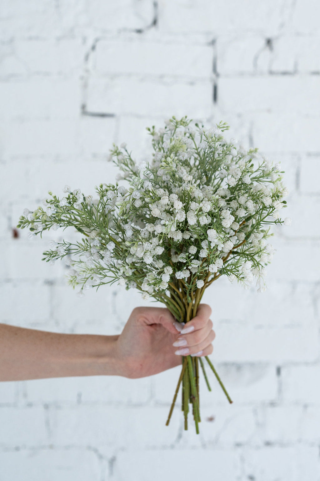 Baby's Breath Stem (pack of 5)