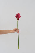 Calla Lily - Pink (Real Touch)