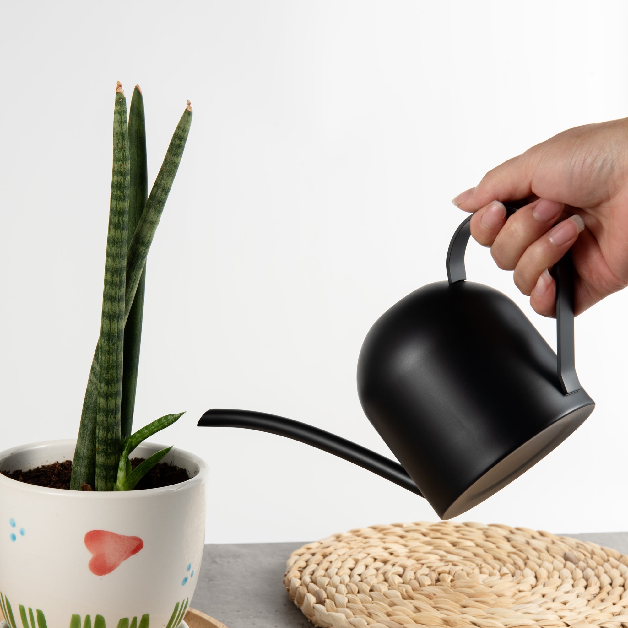 Watering Can House Watering Can for Indoor Plants Orchid Bonsai Desk Office Stainless Steel Watering Can with Long Spout, 15Oz/450Ml