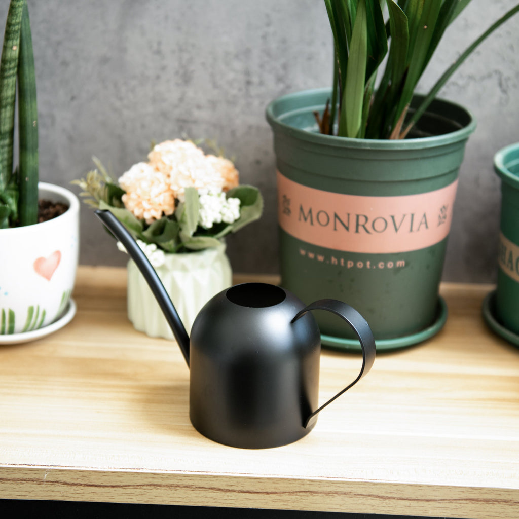 Watering Can House Watering Can for Indoor Plants Orchid Bonsai Desk Office Stainless Steel Watering Can with Long Spout, 15Oz/450Ml