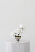 Rose Petite Centerpiece