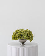 Hydrangea Petite Centerpiece (Green)