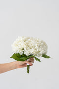 The Eloise Bouquet (Bridesmaid Size)