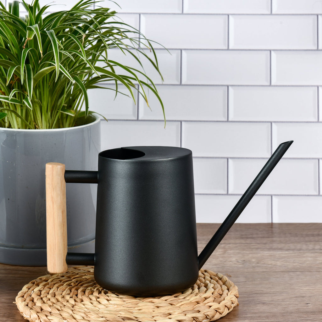 Watering Can for Indoor Plants Stainless Steel Modern Watering Can with Long Spout and Wooden Handle, 35Oz