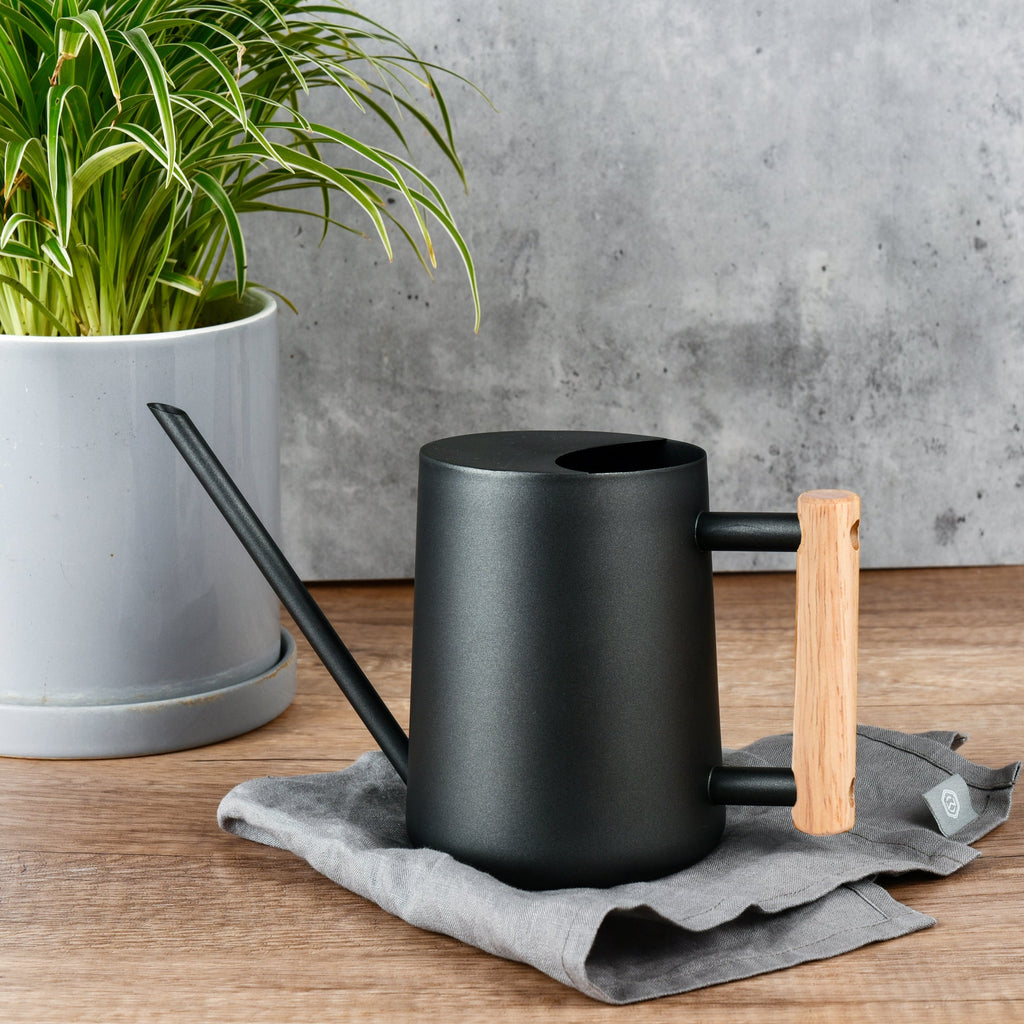 Watering Can for Indoor Plants Stainless Steel Modern Watering Can with Long Spout and Wooden Handle, 35Oz