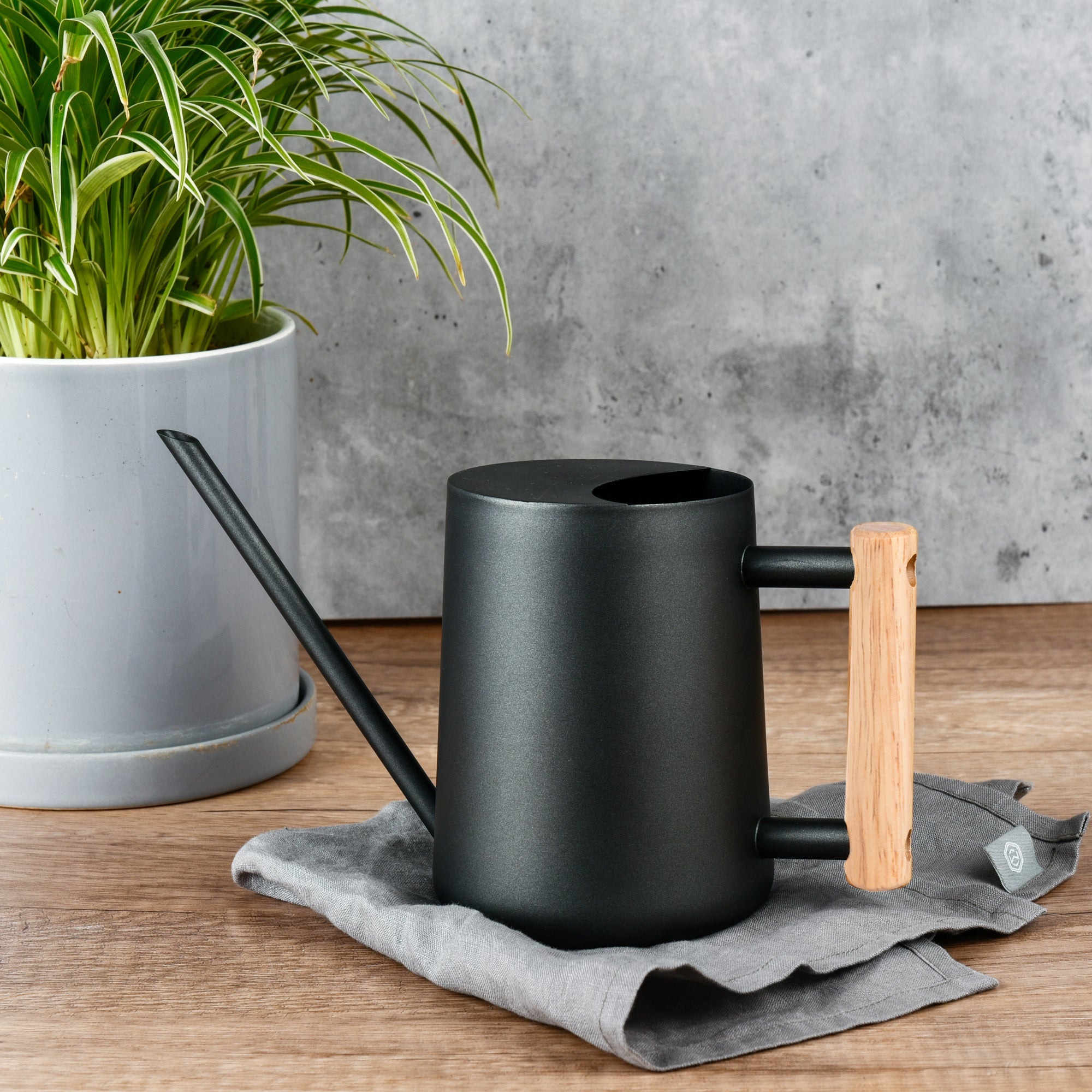 Watering Can for Indoor Plants Stainless Steel Modern Watering Can with Long Spout and Wooden Handle, 35Oz