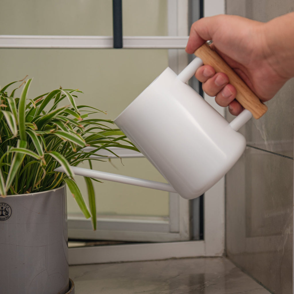 Watering Can for Indoor Plants Stainless Steel Modern Watering Can with Long Spout and Wooden Handle, 35Oz