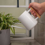 Watering Can for Indoor Plants Stainless Steel Modern Watering Can with Long Spout and Wooden Handle, 35Oz