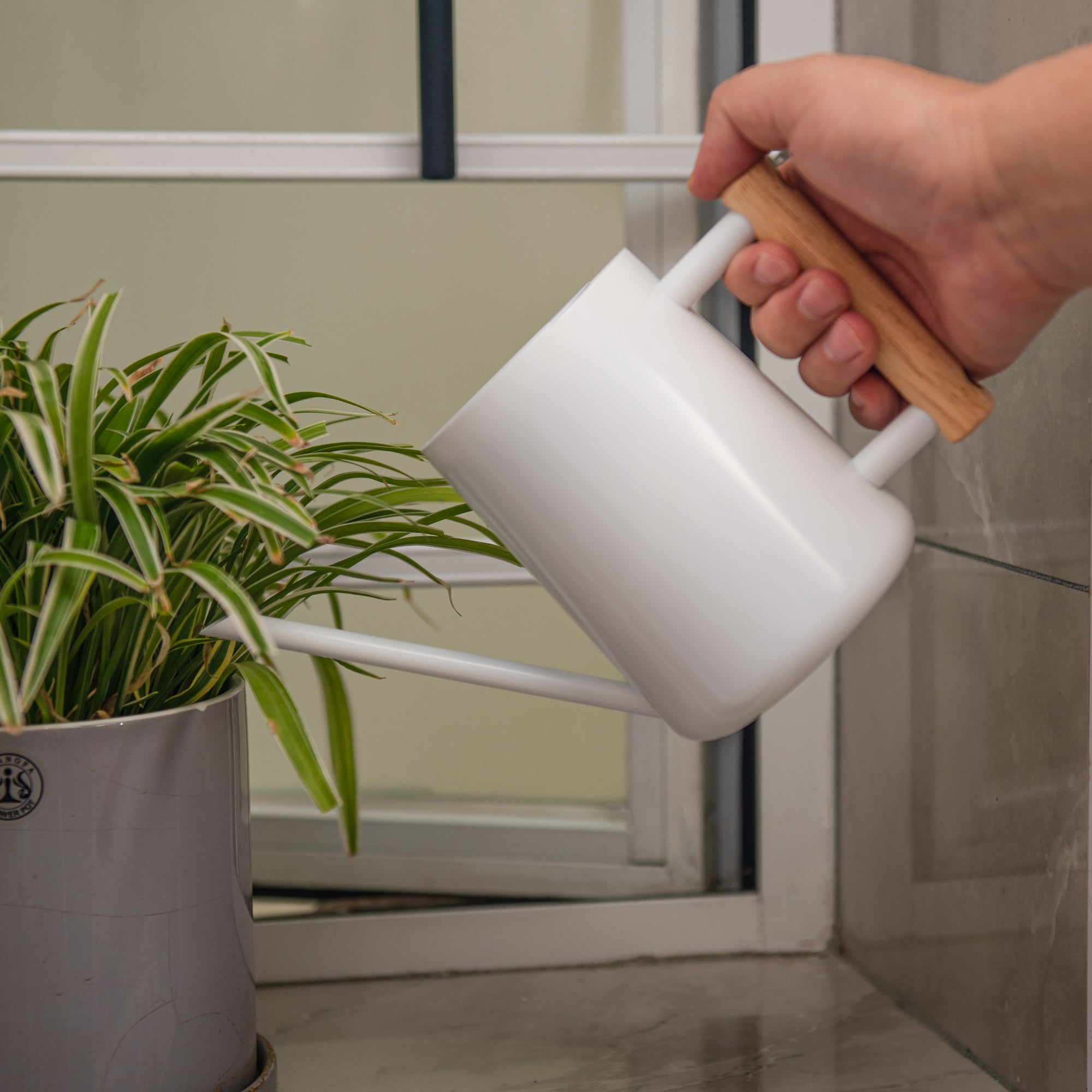 Watering Can for Indoor Plants Stainless Steel Modern Watering Can with Long Spout and Wooden Handle, 35Oz