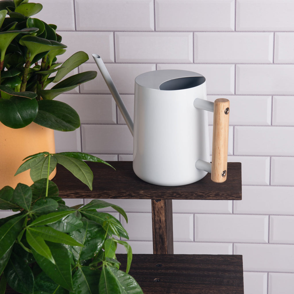 Watering Can for Indoor Plants Stainless Steel Modern Watering Can with Long Spout and Wooden Handle, 35Oz
