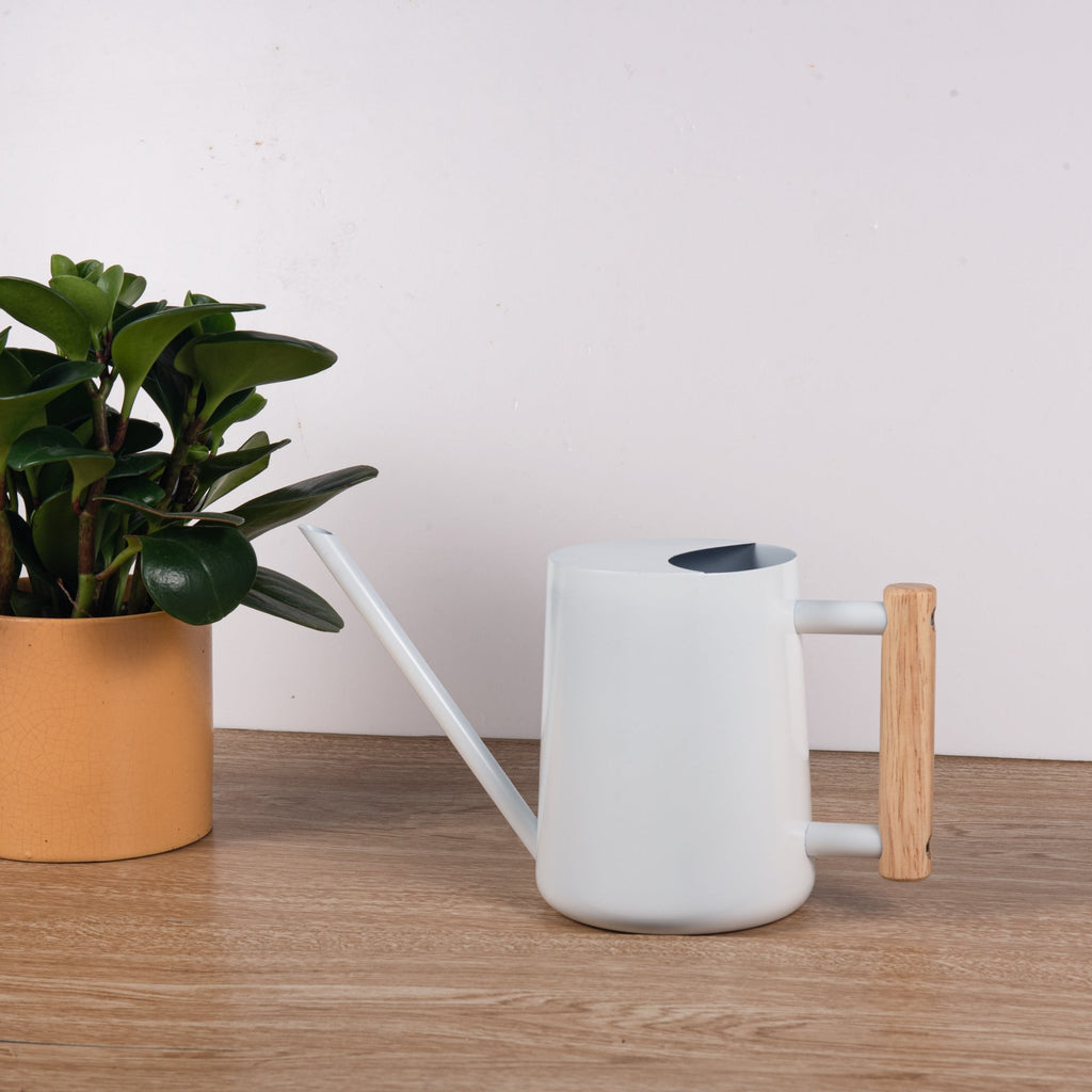 Watering Can for Indoor Plants Stainless Steel Modern Watering Can with Long Spout and Wooden Handle, 35Oz