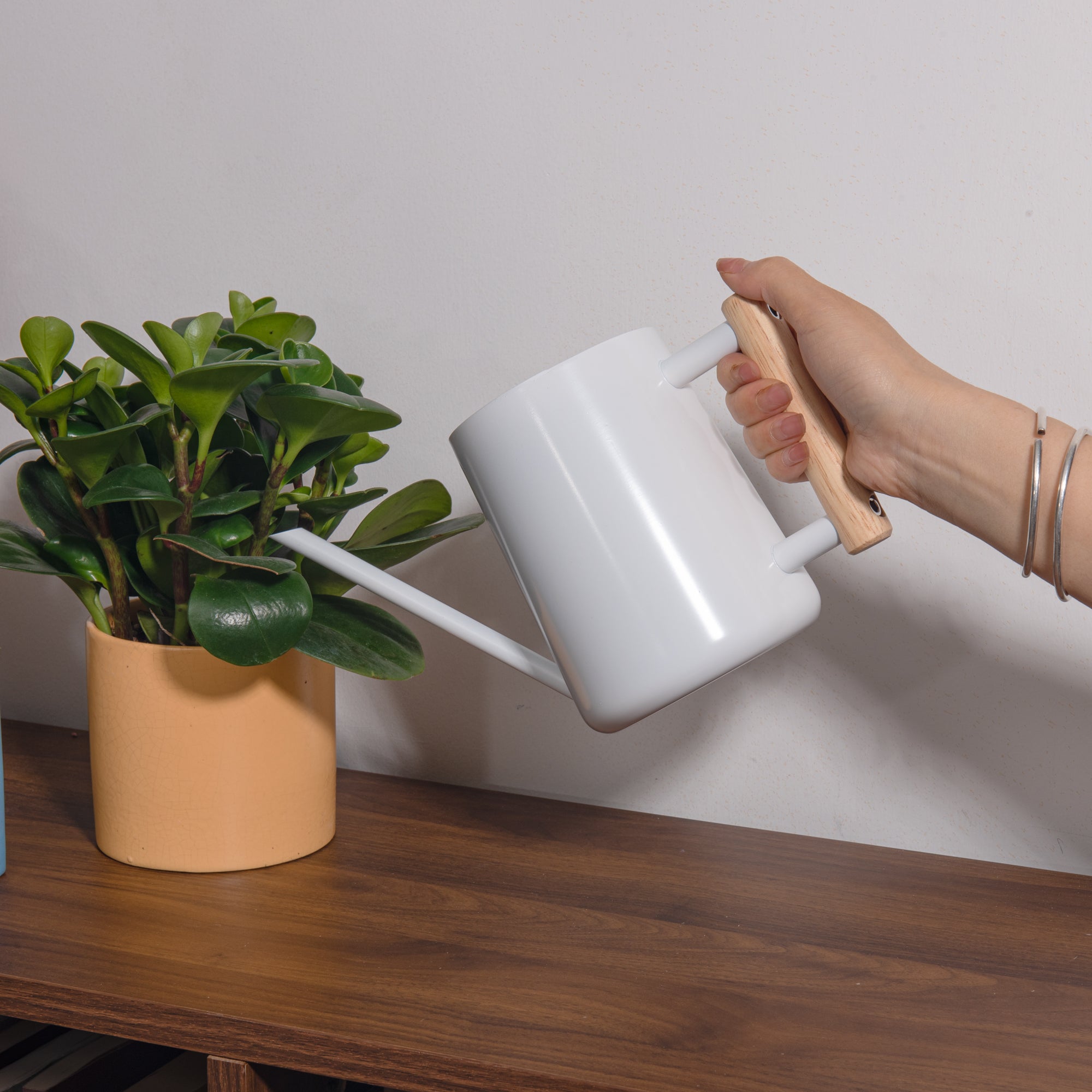 Watering Can for Indoor Plants Stainless Steel Modern Watering Can with Long Spout and Wooden Handle, 35Oz