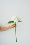 White Hydrangea (Real Touch)