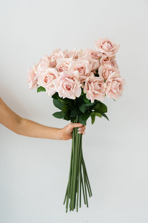 Blush Pink Rose (Real Touch)