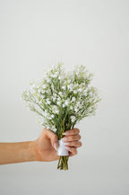 Petite Baby's Breath Bouquet