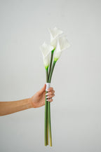 Petite Calla Lily Bouquet