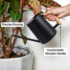 Watering Can for Indoor Plants Stainless Steel Modern Watering Can with Long Spout and Wooden Handle, 35Oz